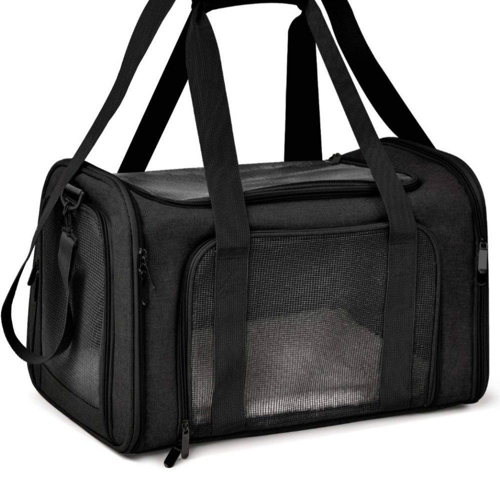 Pet Carrier NWT